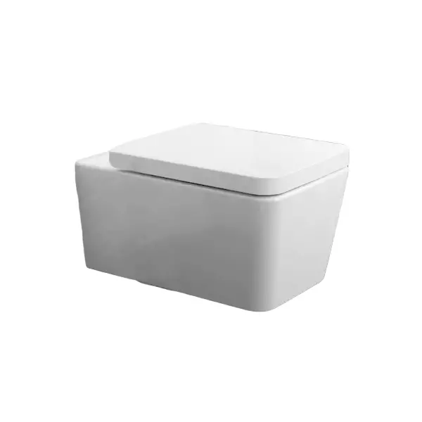 Унитаз подвесной Hansgrohe EluPura Q 540 безободковый, белый (60194450) - Фото 1