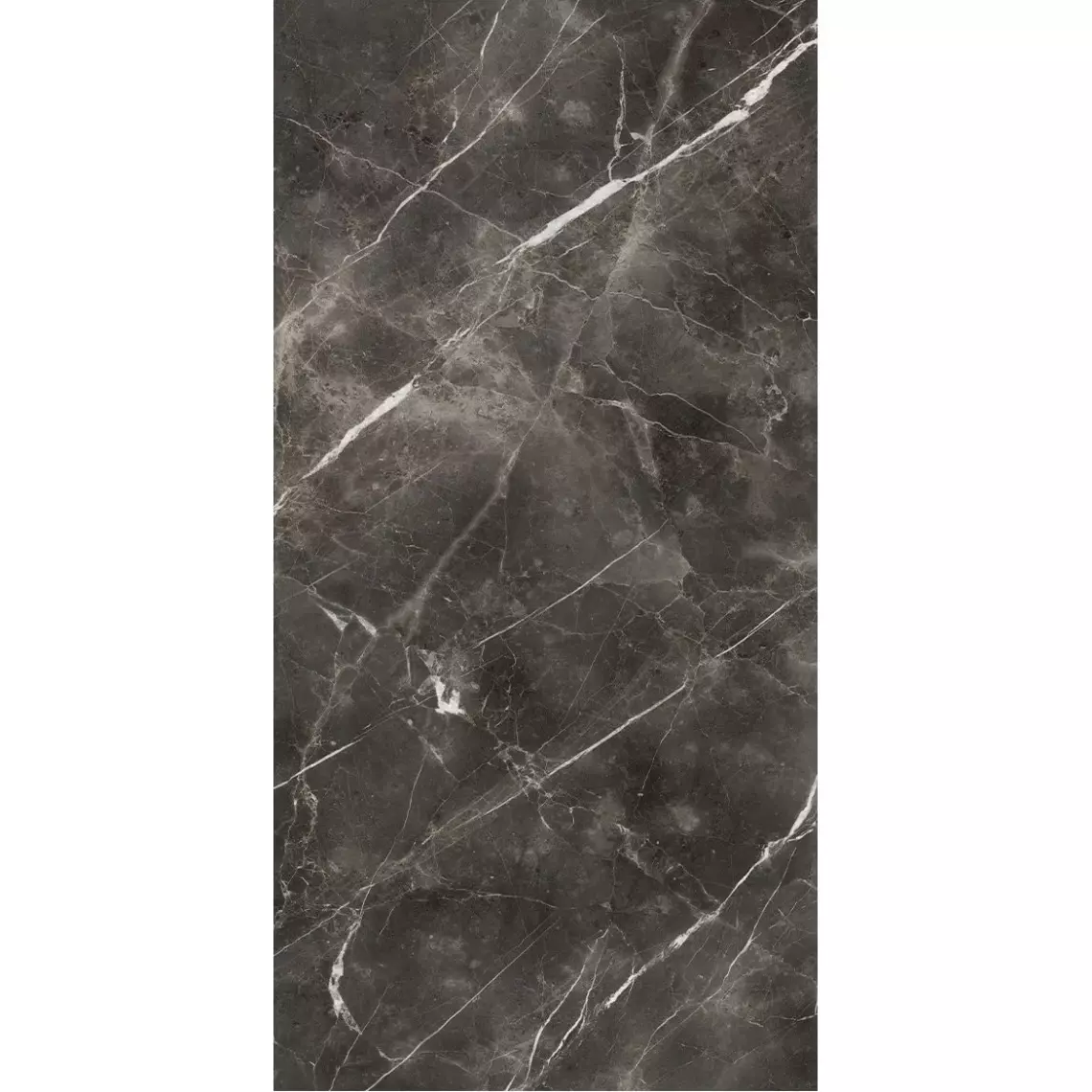 Керамогранит крупноформатный Anatolia Forge Eleganza 119,8x279,8 Polished 6mm (AB20P) - Фото 1