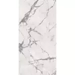 Керамограніт Flaviker Supreme EVO, Invisible Select Lux Lappato Lux/глянцева 59,6Х119,4 (PF60004204) - Фото 1