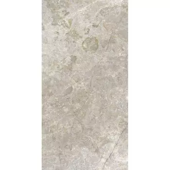 Керамограніт Mayor Eterna Argent C3 OUT 60x120 (BAETARC360120) - Фото №1